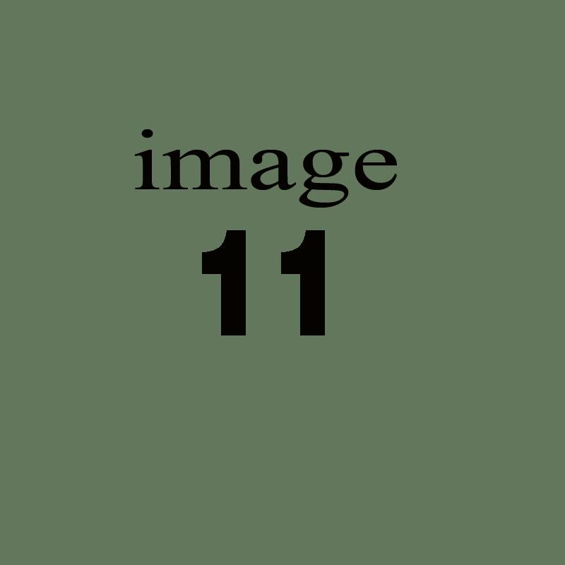 Suscipit aut non necessitatibus soluta nostrum.